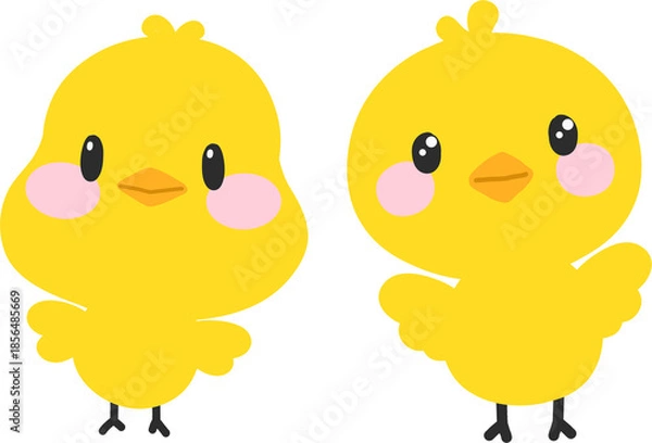 Fototapeta 병아리_노란병아리_귀여운2