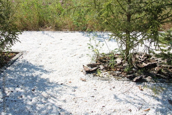 Fototapeta the path is lined with white stones,
