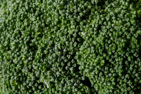 Fototapeta ブロッコリー　アップ