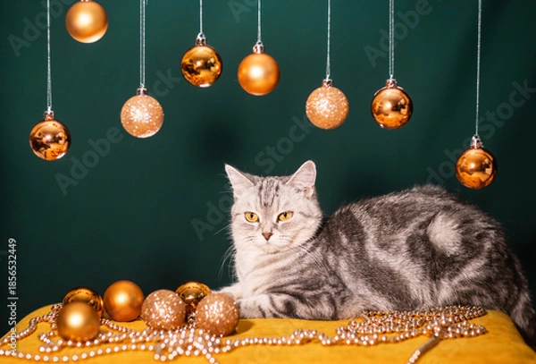 Obraz A beautiful gray cat on a dark background with Christmas balls