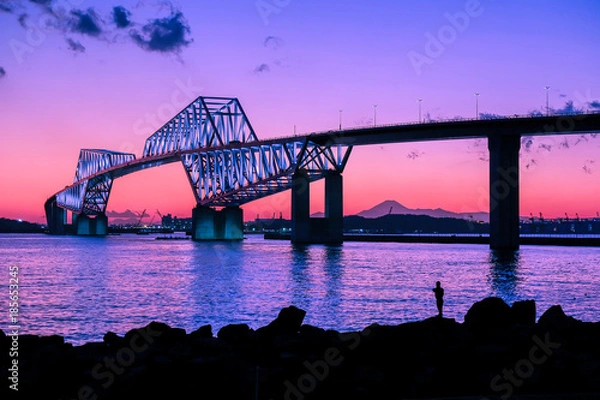 Obraz 東京ゲートブリッジの夕景