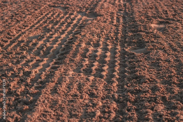 Obraz tracks in the sand