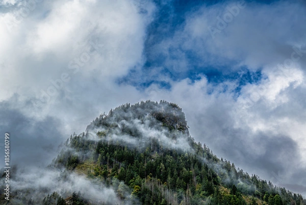 Obraz Misty mountain peak covered in forest near Hallein, Austria
