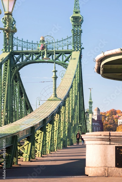 Obraz bridge over the river