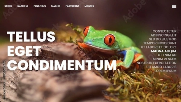 Obraz Digital Magazine Scroll Design Slideshow