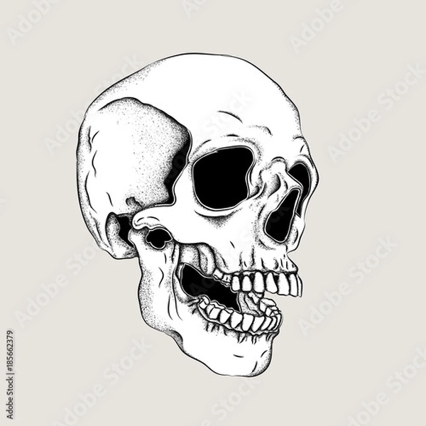 Obraz Portrait of a skull. Can be used for printing on T-shirts, flyers, etc. Vector illustration