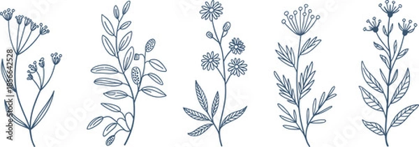 Obraz Detailed Blue Line Art Floral Branch Vector Illustration Set Featuring Minimalist Botanical Wildflower Graphic Designs