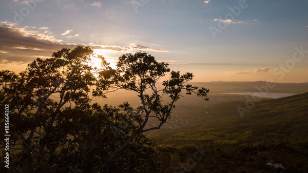 Obraz Hide and Seek Sun