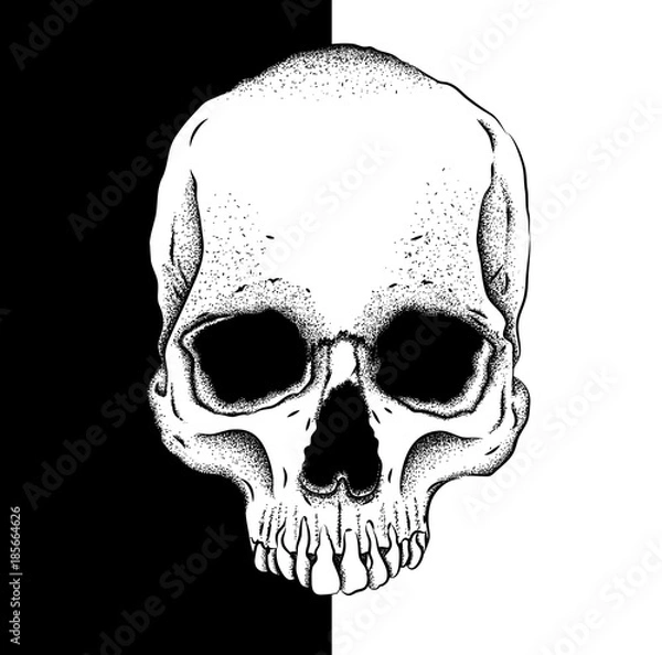 Obraz Portrait of a skull. Can be used for printing on T-shirts, flyers, etc. Vector illustration