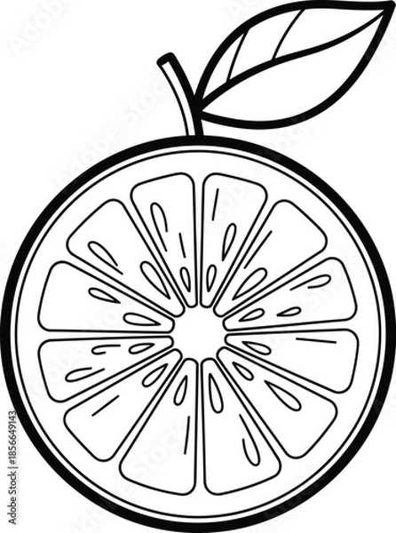 Obraz Lemon Slice Citrus Fruit Line Art Vector
