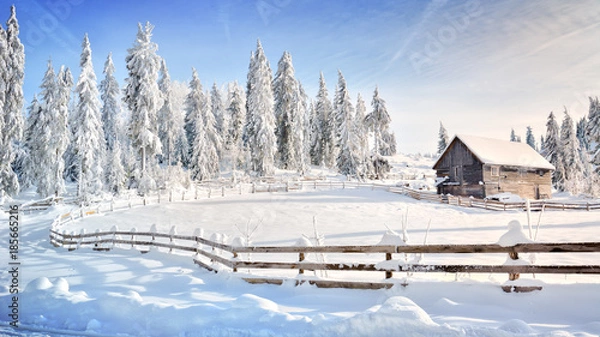 Obraz Winter in Transylvania