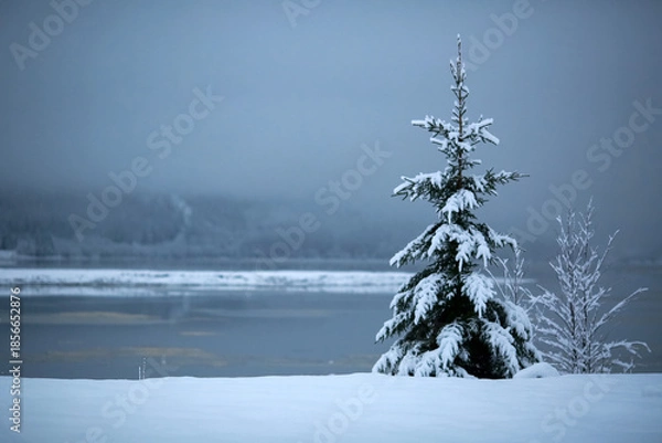 Obraz River Aagaardselva, Norway