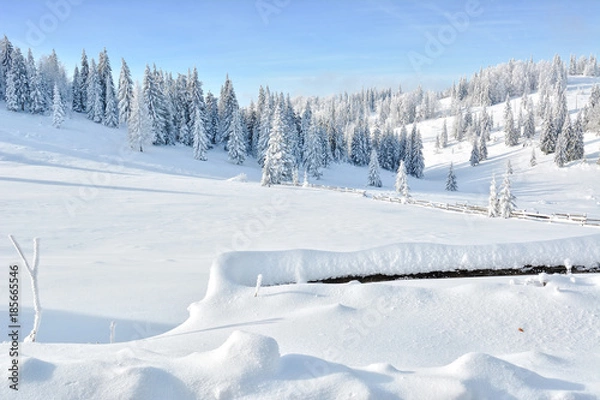 Obraz Winter in Transylvania