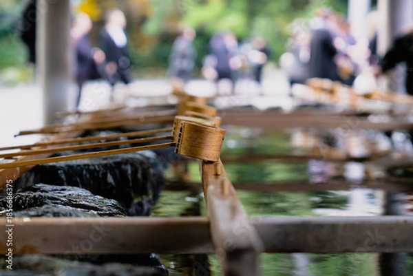Fototapeta 日本神話：神聖な森と川（神宮・五十鈴川）