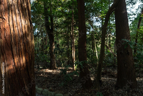 Obraz 日本神話：神聖な森と川（神宮・五十鈴川）