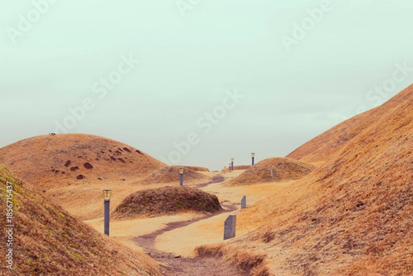 Obraz 대구광역시 불로동 고분군