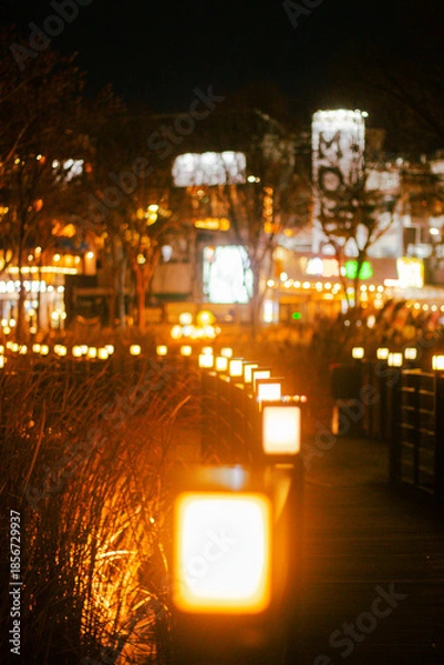 Obraz 대구광역시 수성못 조명길