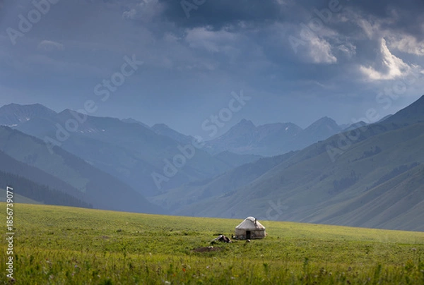 Obraz cows in the mountains