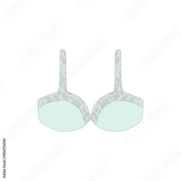 Obraz lace bra vector