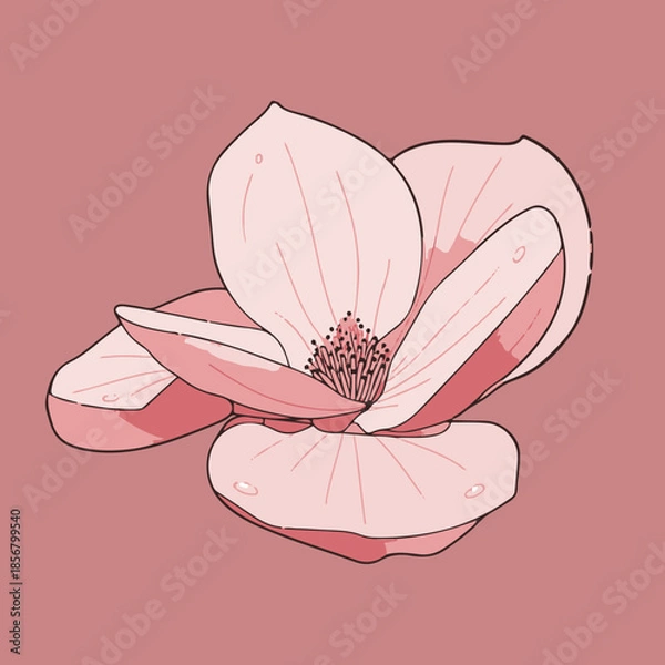 Fototapeta Magnolia   pattern.