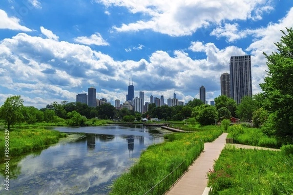 Obraz Chicago Skyline