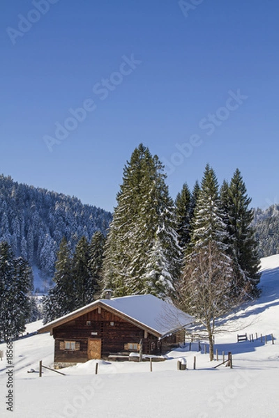 Fototapeta Winterwanderung zur Lexen Alm im Längental