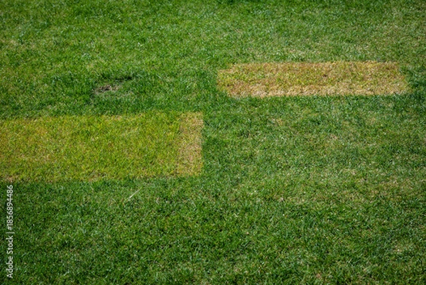 Obraz Lawn with abstract markings