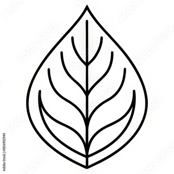 Obraz eco leaf outline nature icon
