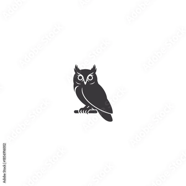 Obraz owl on white background