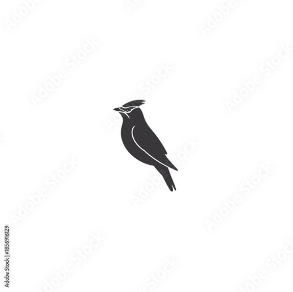 Obraz bird on a white background