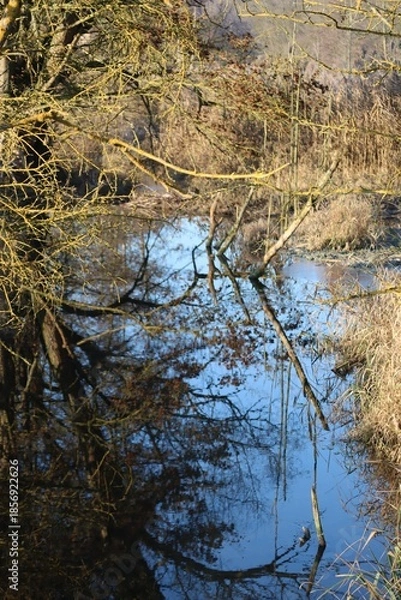 Obraz Blue Sky Morning