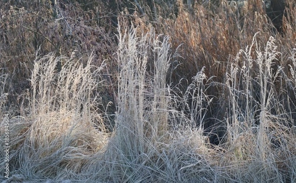 Obraz white Fountain