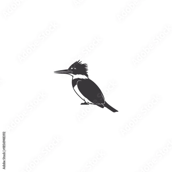 Obraz black capped kingfisher