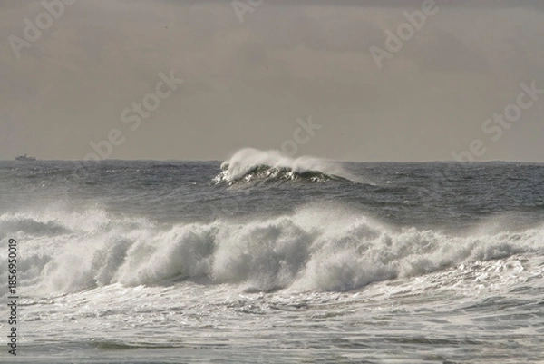 Obraz Beautiful spraying sea wave