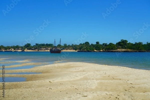 Obraz Arrivée en beauté