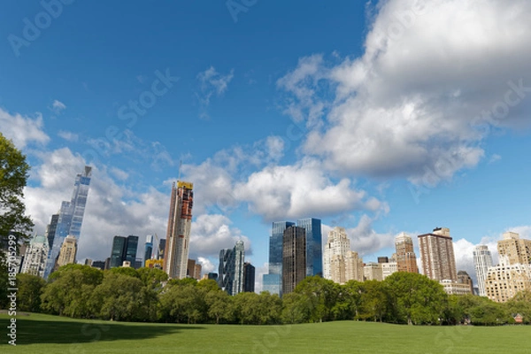 Fototapeta 夏のセントラルパーク