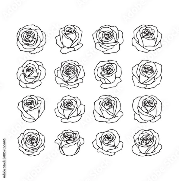 Obraz Rose head black line art