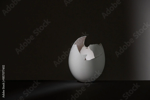 Fototapeta 卵の殻　たまご　孵化　割れる　エッグ