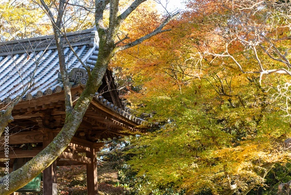 Obraz 秋を感じる