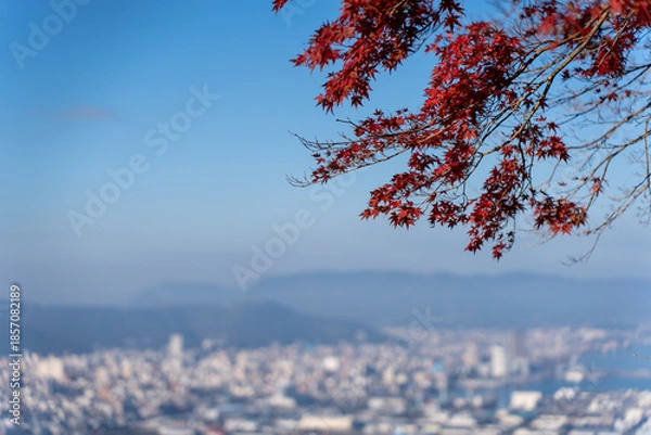 Obraz 秋を感じる