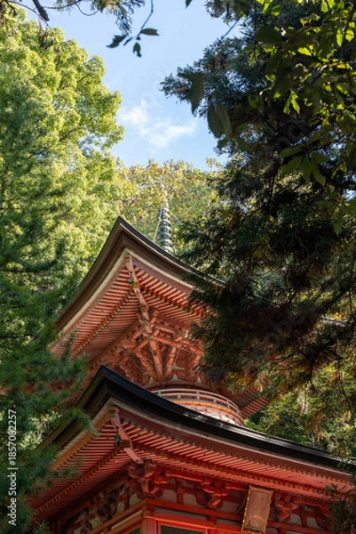 Obraz お寺の風景