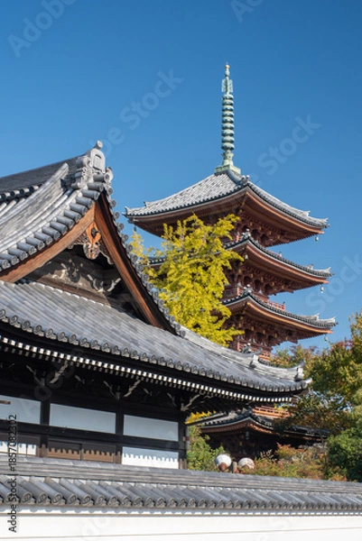 Fototapeta お寺の風景