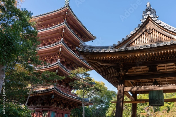 Obraz お寺の風景