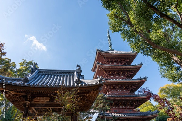 Obraz お寺の風景