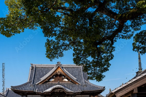 Obraz お寺の風景