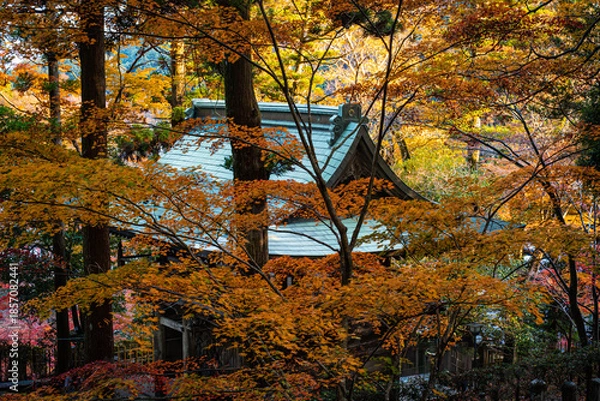 Obraz 空きを感じる風景