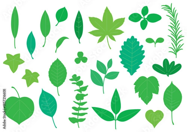 Obraz シンプルな緑色の葉っぱセット