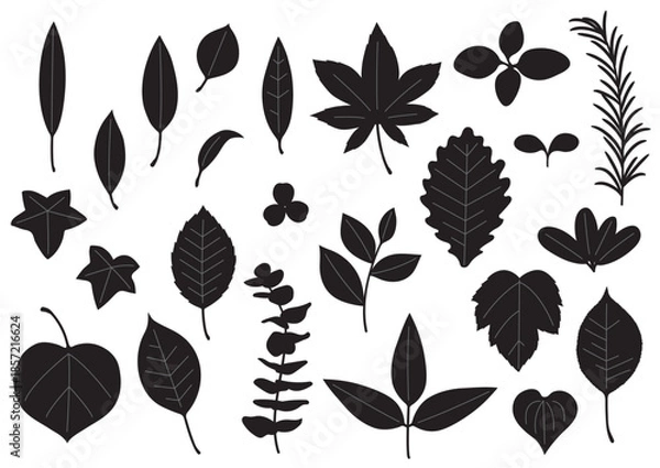 Obraz シンプルな葉っぱセット