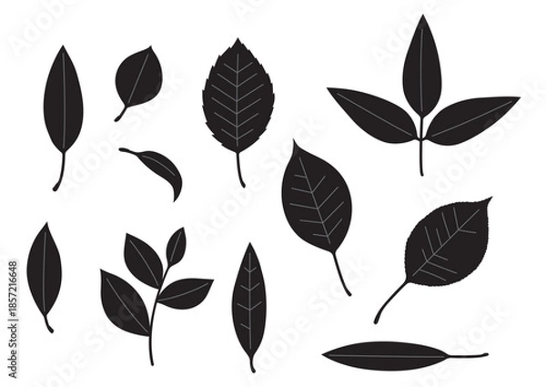 Obraz シンプルな葉っぱセット