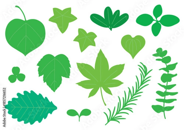 Obraz シンプルな緑色の葉っぱセット